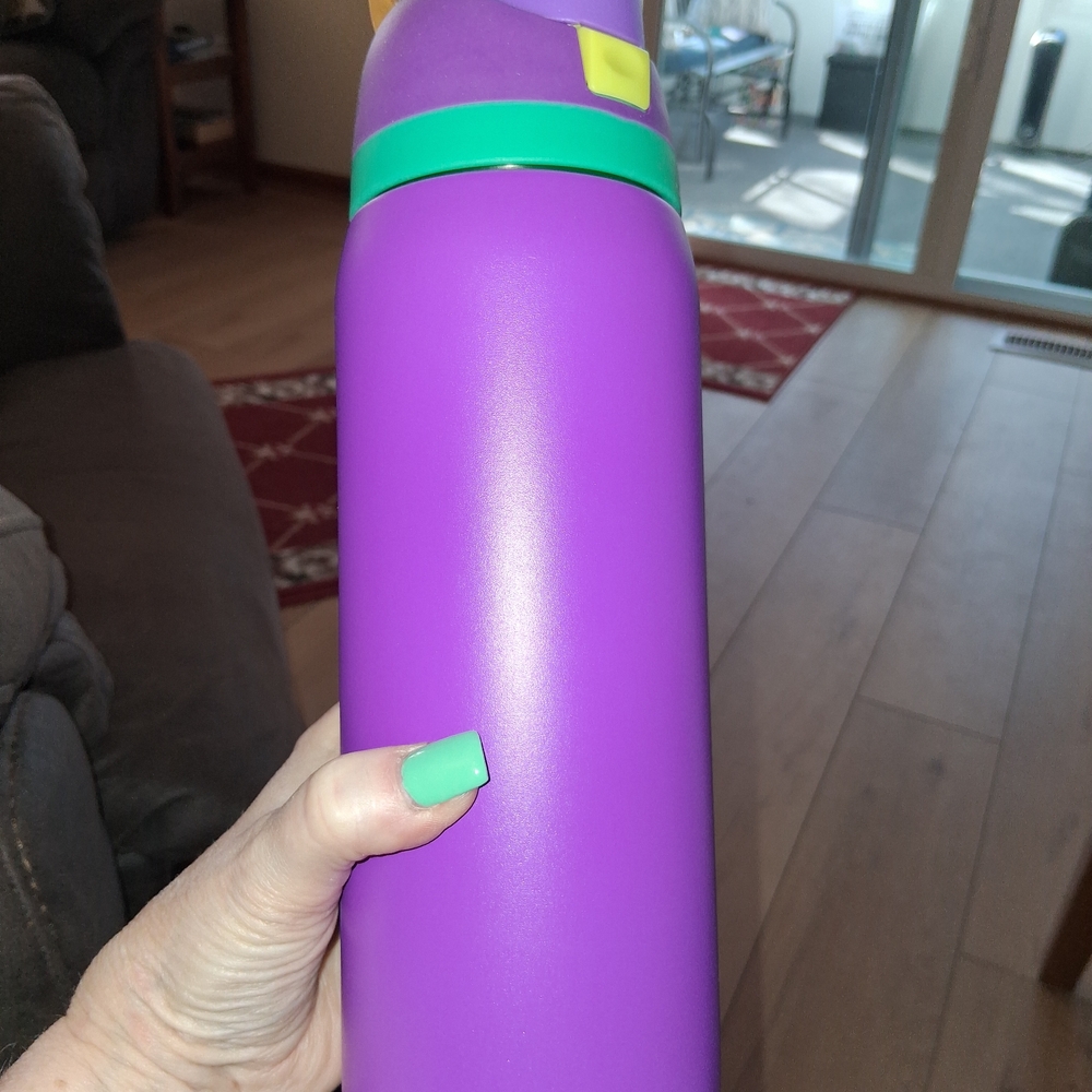 Purple Stainless Water Bottle with Green Accent